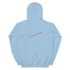 unisex-heavy-blend-hoodie-light-blue-back-65b5a1151de11.jpg