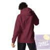 unisex-premium-hoodie-maroon-back-65af6bf7b7432.jpg